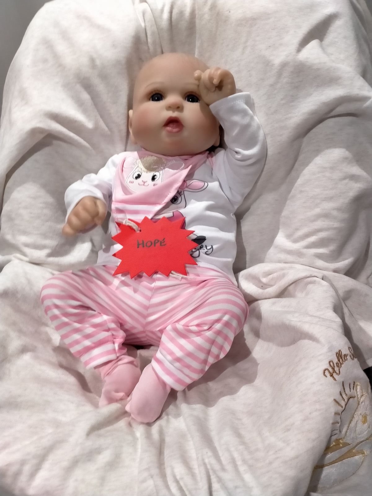 HOPE Reborn Doll Girl – Reborn Doll for Sale
