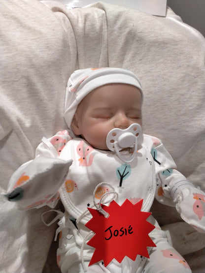 JOSIE Beautiful Reborn Doll Girl – Nicely Weighted 4.8lbs | 17" Baby-Jungle