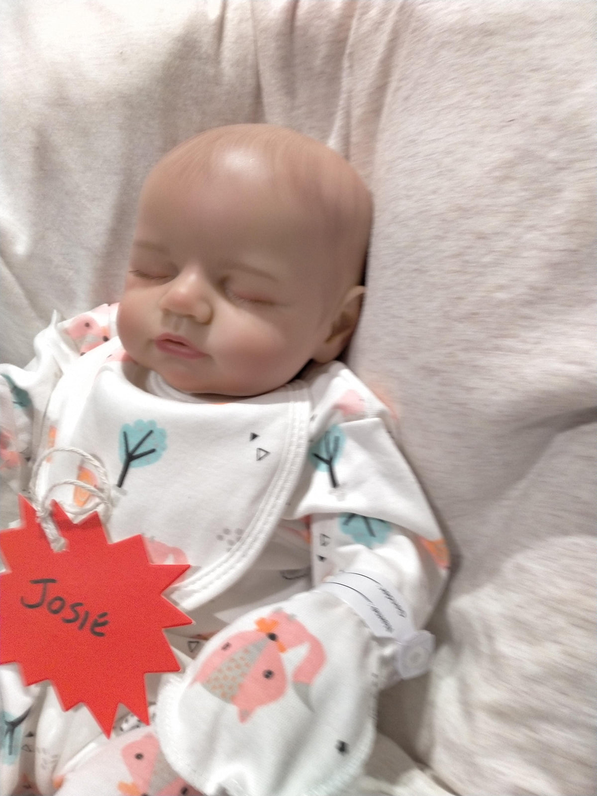 JOSIE Beautiful Reborn Doll Girl – Nicely Weighted 4.8lbs | 17" Baby-Jungle